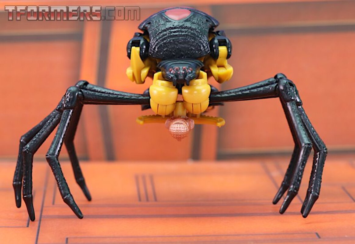 transformers kingdom blackarachnia review